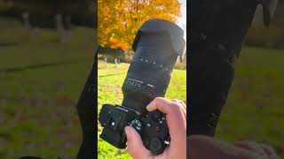 This Sigma Lens is a GAME CHANGER for Photography [upl. by Lime]