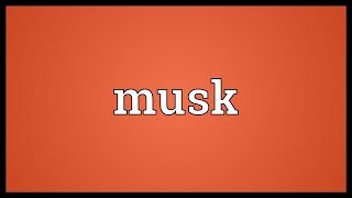 Musk Meaning [upl. by Charity396]