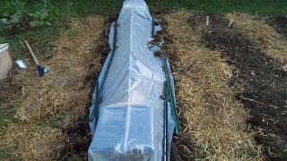 Planting Under Cover a homemade low tunel  The Wisconsin Vegetable Gardener Straight to the Point [upl. by Neyugn]