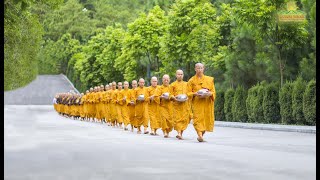 Alms Round  A Beautiful Tradition Of Buddhism  Ba Vang Pagoda Vietnam [upl. by Accire]