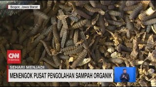 Menengok Pusat Pengolahan Sampah Organik [upl. by Nhor]