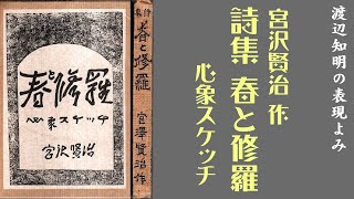 詩の読み方宮沢賢治「屈折率」『春と修羅』渡辺知明 [upl. by Zoarah739]