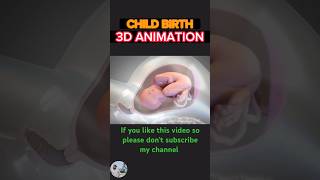 Child birth Through Normal Delivery 3D Animation👶🏻👶🏻 [upl. by Washburn]