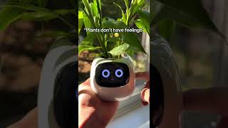 Of course the do 🥰🪴 alplanter smartplanter [upl. by Illil]