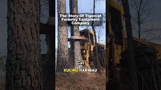 tigercat tigercatforestry forestryequipment bigmachine foryou [upl. by Dihaz847]