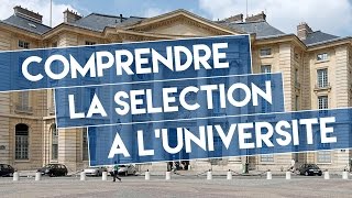 Comprendre la sélection à luniversité [upl. by Hgielsa188]