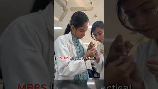 HEMATOLOGY PRACTICALS MBBS 1ST yearfr VMMC mbbs neet2024 neetaspirant [upl. by Ninahs]