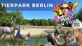 Bake amp Play on Tour  Tierpark Berlin [upl. by Imelda]