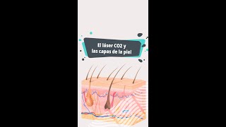 Así actúa el láser co2 en las capas de la piel [upl. by Delanie]