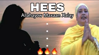 HEES  Allahayow Maxaan Xalay  Marwo Cabdi Axmed  Kaban  Lyrics [upl. by Euqinomod418]