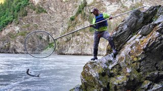 Dip Netting Alaskas Copper River Red Salmon [upl. by Yantruoc]