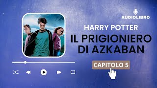 5 Harry Potter e IL PRIGIONIERO DI AZKABAN volume 3 Audiolibro  IL DISSENNATORE [upl. by Eet]