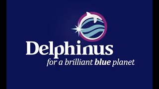 ¿Qué significa ser parte de Delphinus This is how we work l Delphinus [upl. by Aicenad341]