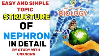 Structure of nephron biology class 12th [upl. by Delano]