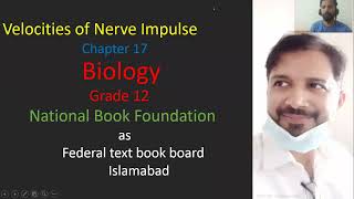 Velocities of Nerve impulse xii biology National book foundation Federal board [upl. by Zilevi]