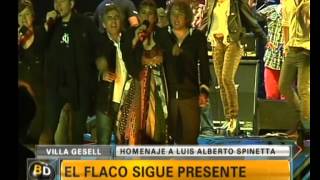 Homenaje a Luis Alberto Spinetta  Telefe Noticias [upl. by Elbring]