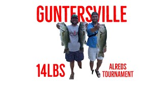 Lake Guntersville bass fishing [upl. by Asaph]