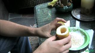 How to Save Cucumber Seeds  A Seed Saving Series [upl. by Evyn]