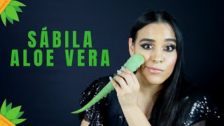 11 BENEFICIOS DE LA SÁBILA ALOE VERA  USOS Y BENEFICIOS  PIEL PERFECTA [upl. by Ellainad586]