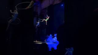 Cirque du Soleil in Vegas A MustSee Spectacle shorts vegas travel travelFactsandHacks [upl. by Rosenstein25]