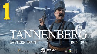 Tannenberg 1  AustroWęgry i M95 Gameplay PL Zagrajmy [upl. by Shaughnessy]