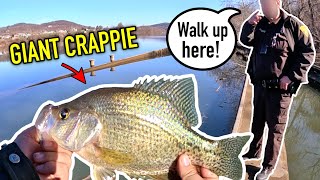 COPS CALLED for Catching GIANT CRAPPIE Ohio River Crappie Fishing [upl. by Raye297]