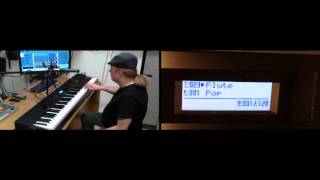 Casio Privia PX350 SoundBank 5 Demo  Various [upl. by Eldwen]