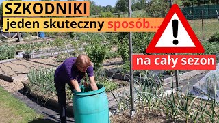 Skuteczny 100 naturalny sposób na szkodnikipraktyczne wykorzystaniejak go pozyskać za darmo [upl. by Noella]