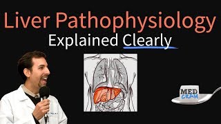 Liver Explained Clearly  Pathophysiology LFTs Hepatic Diseases [upl. by Ignacia]