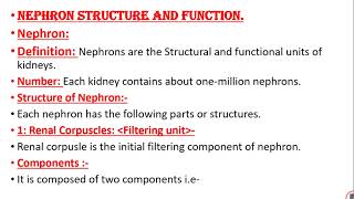 Nephron structure and function [upl. by Yellah545]