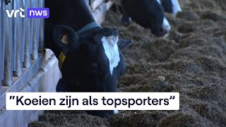 Melkproductie in Vlaanderen is een van de meest klimaatvriendelijke ter wereld [upl. by Erna]