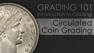 How to Grade Circulated Coins  Introduction to Coin Grading [upl. by Reginnej]