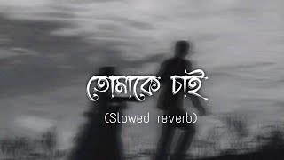 Tomake Chai  Slowed reverb Arijit Singh  Gangster  তোমাকে চাই [upl. by Esorylime]