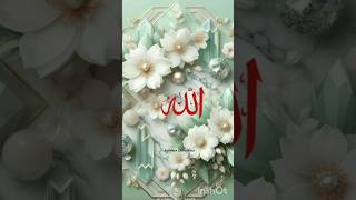 Hasbi Rabi Jalallah Allah Naat Islamic allahuakbar newnaat shortsvideo [upl. by Drallim928]