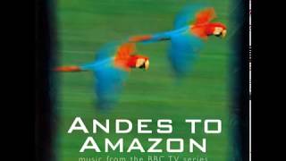 01  Andes to Amazon Sudamérica salvajeAndes to AmazonWild South America [upl. by Toshiko]