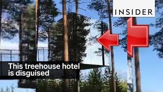 This treehouse hotel in Sweden is disguised by mirrors [upl. by Sulecram]