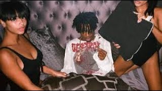 Playboi Carti Best Unreleased Songs Mix [upl. by Yonina]