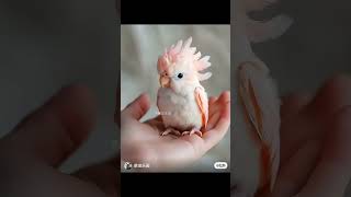 wonderful cute white mackowiak Bird [upl. by Neerual]