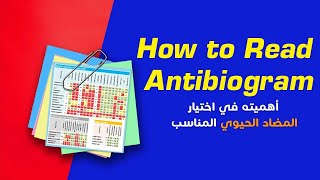 What is an Antibiogram Used For  أهمية انتي بيوجرام و المضاد الحيوي [upl. by Arathorn938]