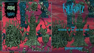 DISKORD Norway  Shivering As We Shed Our Hides Technical Death Metal Transcending Obscurity [upl. by Yllah]