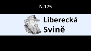 N 175 ParaNehoda Ty čárky na silnici Bagr jel přímo proti mě liberec automobile dashcam [upl. by Ayat]