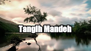 TANGIH MANDE  Lagu Minang Sedih Lirik [upl. by Hallam842]