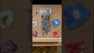 Laminating bookmark from dried flowers laminating etsyartseller bookmark diyideas [upl. by Yajiv249]