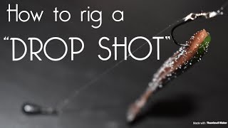 How to RIG a dropshot [upl. by Hannavas]