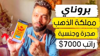 دولة تعطي راتب 7000 مقابل غسل الصحون [upl. by Yedrahs]