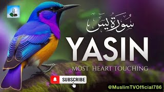 Surah YasinYaseen  Full With Arabic  Beautiful recitationیس سورہ 36 heart touching ep00133 [upl. by Silado265]