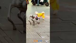 Robot Köpek ile Gerçek Köpeğin Sokak Macerası 🤖🐶 [upl. by Ariamoy732]