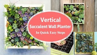 Vertical Succulent Wall Planter In Quick Easy Steps  DIY Succulent Frame [upl. by Sitoiganap]