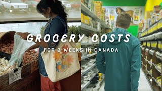 How much does it cost to buy groceries in Canada  Indian living abroad in Canada  Canadian Couple [upl. by Osnofledi26]