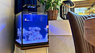 How To Set Up an Aquarium Shorts [upl. by Rivers114]